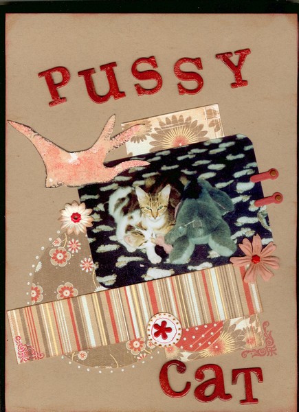 Pussy_cat